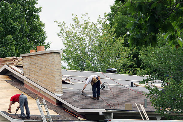Best Roof Repair Services  in Eastpointe, MI