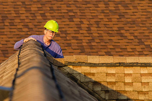 Best Roof Gutter Cleaning  in Eastpointe, MI