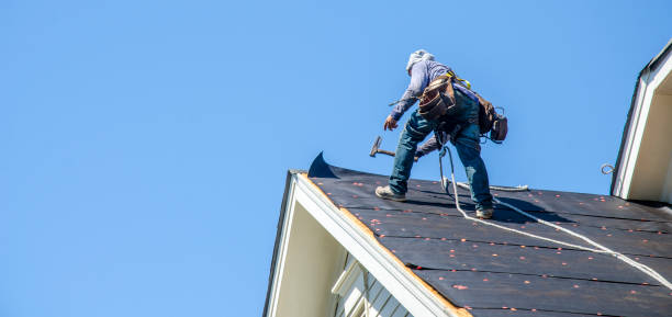 Best New Roof Installation  in Eastpointe, MI